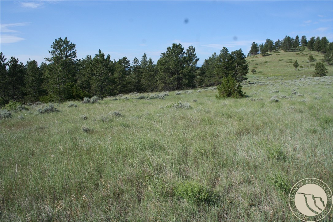 Lot 74 High Pines Bluff