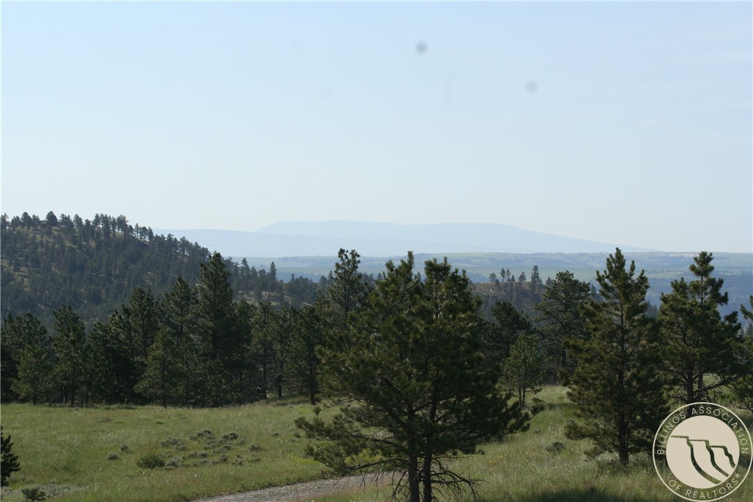 Lot 74 High Pines Bluff