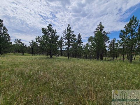 TBA EAGLE RIDGE RD Roundup MT 59072