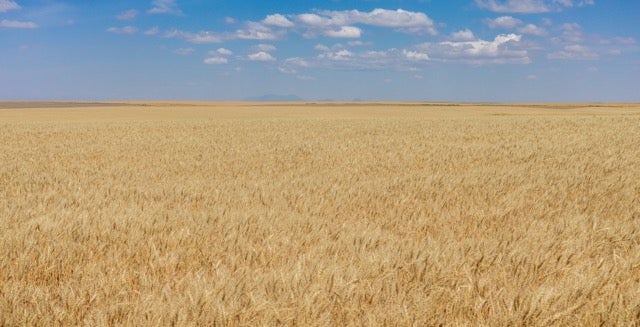 TBD S Road 90