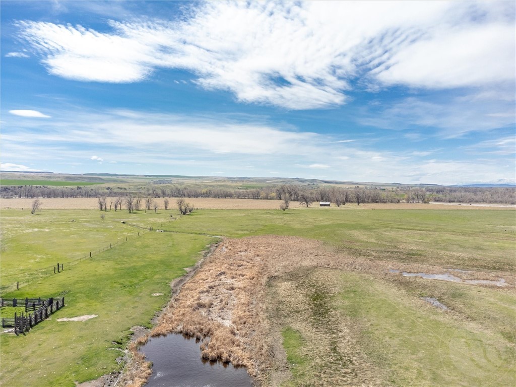 40 Acres Denittis Lane