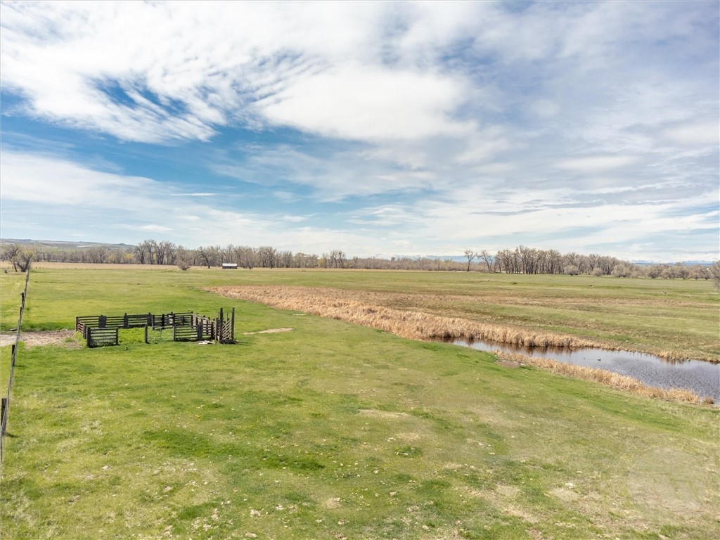 40 Acres Denittis Lane