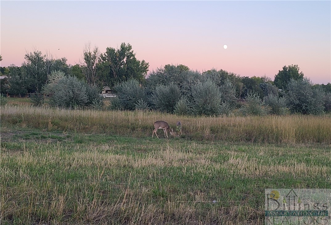 TBD Gayle Block 17, Lot 7 Drive