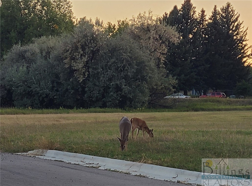 TBD Gayle Block 17, Lot 7 Drive