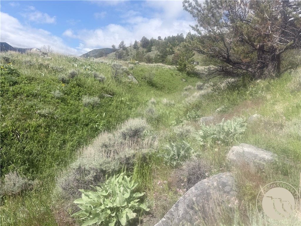 Photo of TR 5 S US Highway 212, Red Lodge, MT 59068 (MLS # 360192)