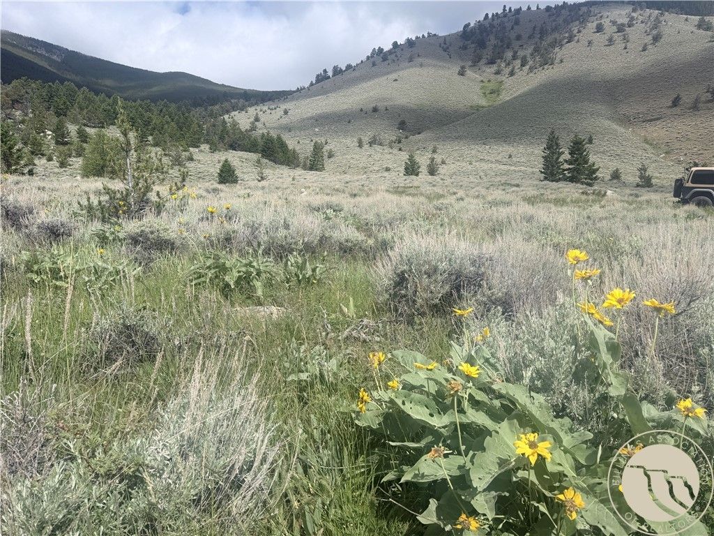 Photo of TR 5 S US Highway 212, Red Lodge, MT 59068 (MLS # 360192)