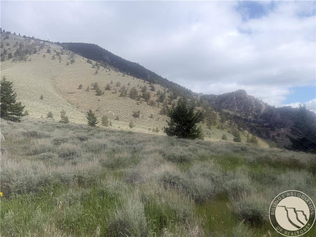 Photo of TR 5 S US Highway 212, Red Lodge, MT 59068 (MLS # 360192)