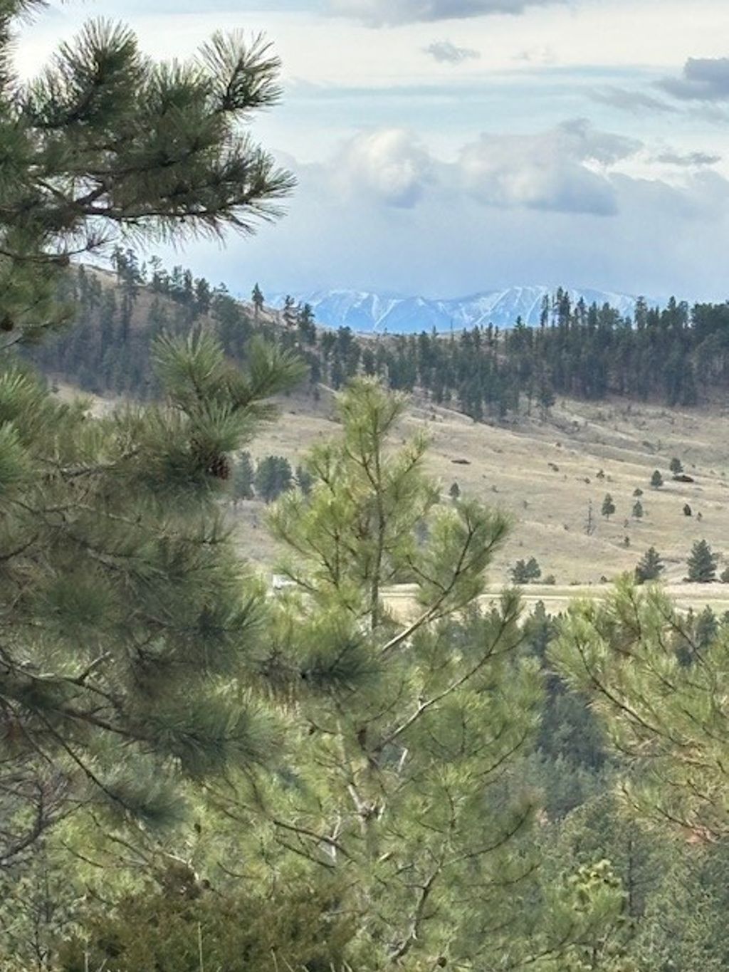 Photo of lot 184 Owl Canyon Road, Columbus, MT 59019 (MLS # 358853)