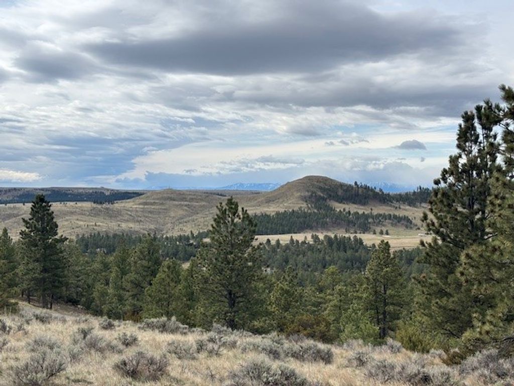 Photo of lot 184 Owl Canyon Road, Columbus, MT 59019 (MLS # 358853)