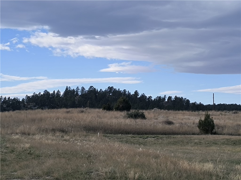 28 lots 10th Avenue W