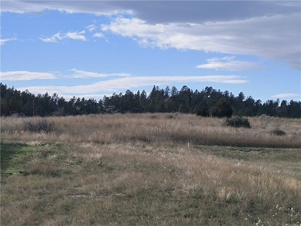 28 lots 10th Avenue W