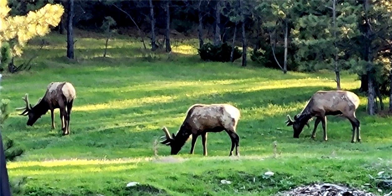 32 Montana Street 32