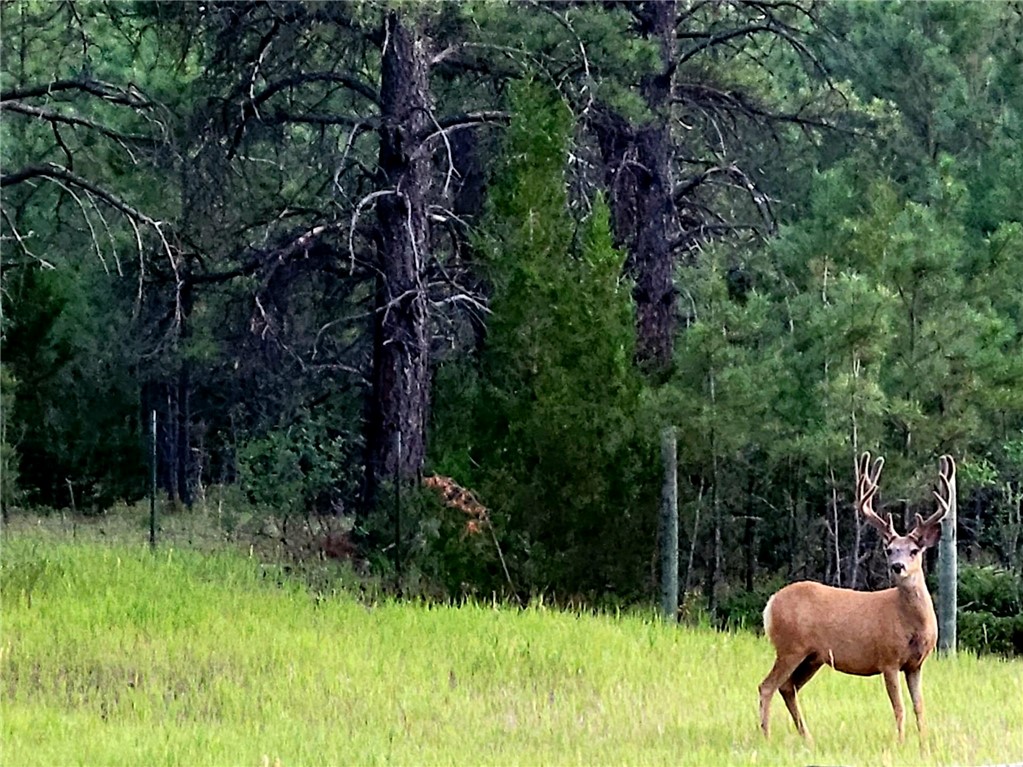 32 Montana Street 32