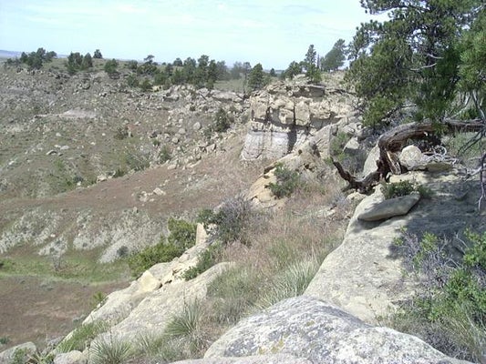 10600 RENO LN, SHEPHERD, MT 59079 - Image 42e428575ca1807fcd4add1ff94ea5f8/2614999106