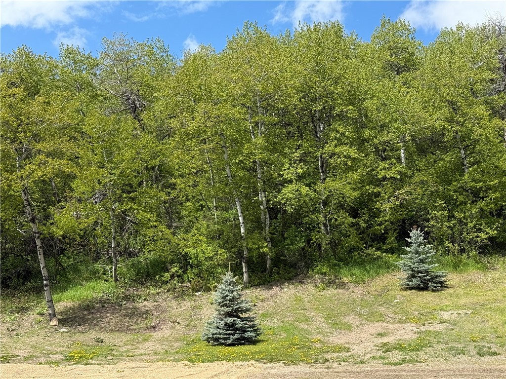 7209 US Highway 212