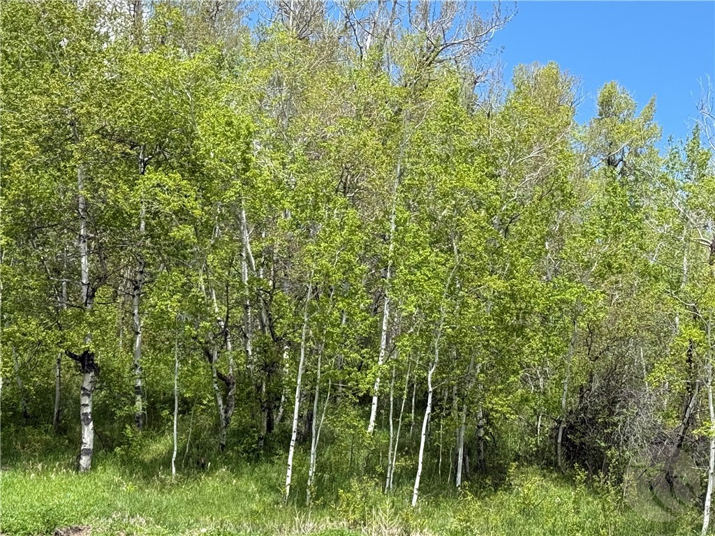 7209 US Highway 212