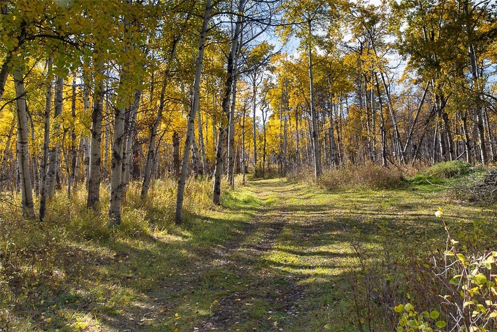 Photo of TBD 14 Ac Lower Luther Road, Red Lodge, MT 59068 (MLS # 362099)
