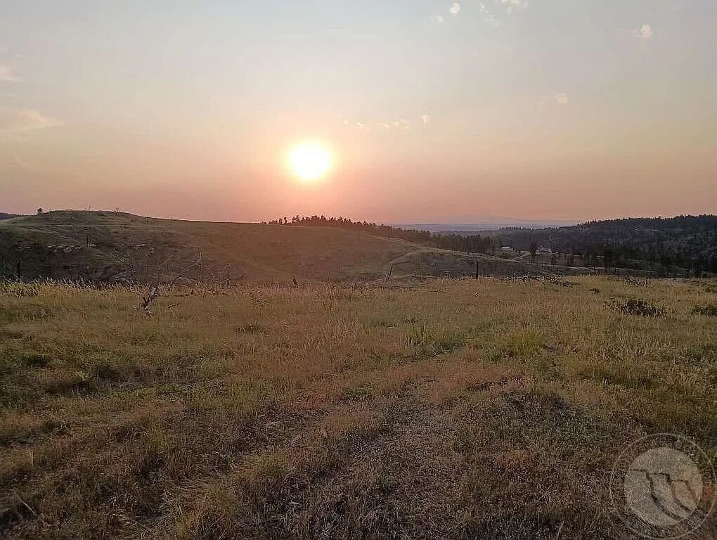 118 Buckskin