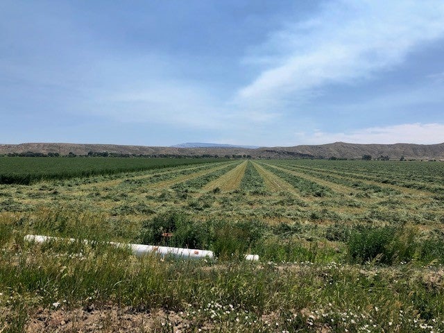 990 Highway 72