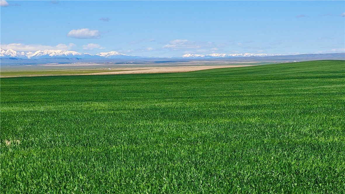 00 Molt Rapelje Road