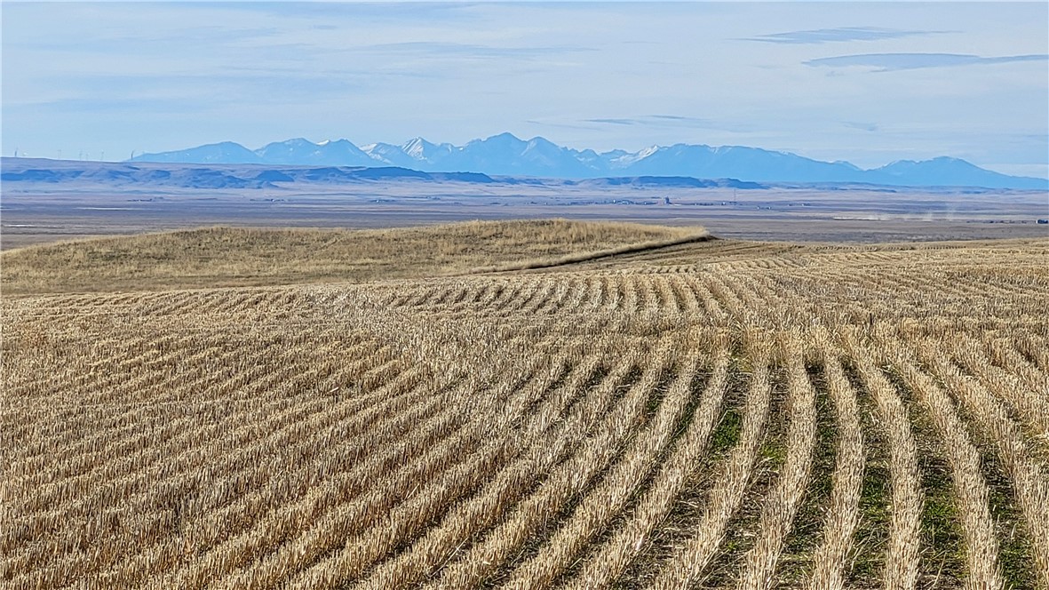00 Molt Rapelje Road