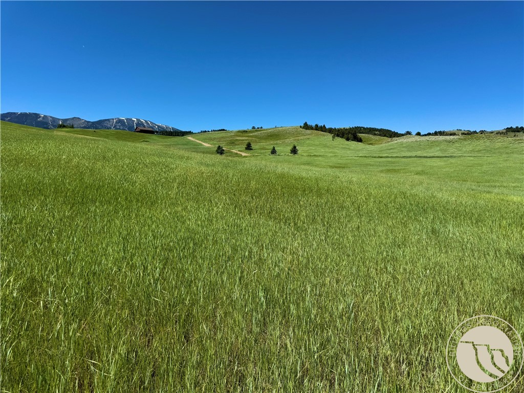 Red Lodge, Montana 59068, United States, ,Land,Active,153672