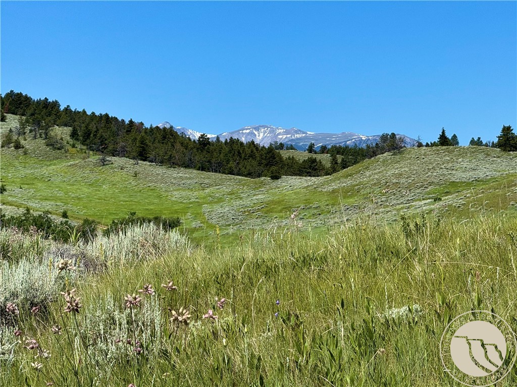 Red Lodge, Montana 59068, United States, ,Land,Active,153672