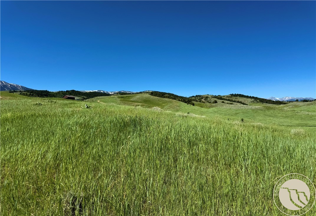 Red Lodge, Montana 59068, United States, ,Land,Active,153672