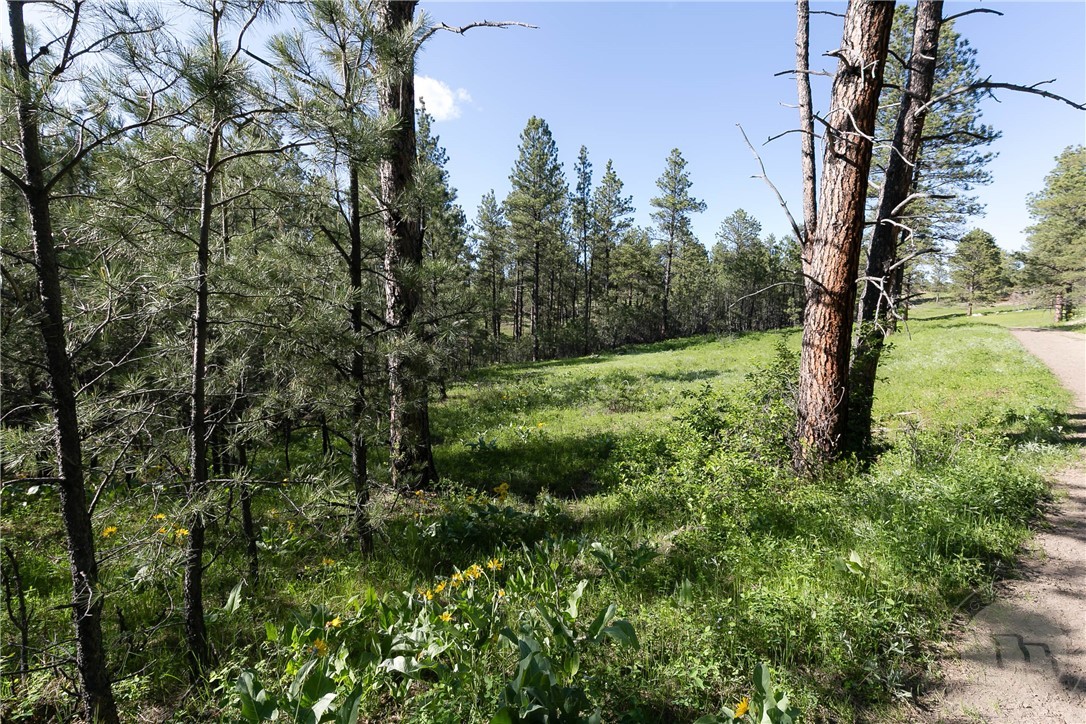 TBD W Parrot Creek Road, Parcel 20