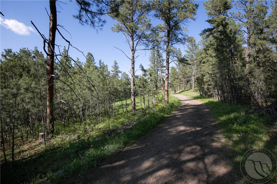 TBD W Parrot Creek Road, Parcel 20