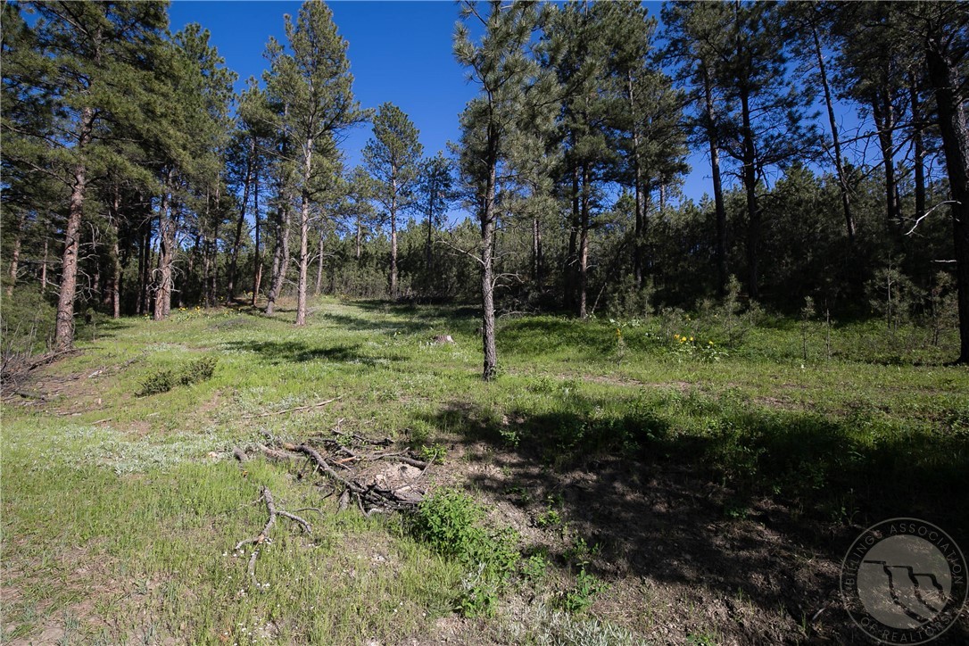 TBD W Parrot Creek Road, Parcel 20