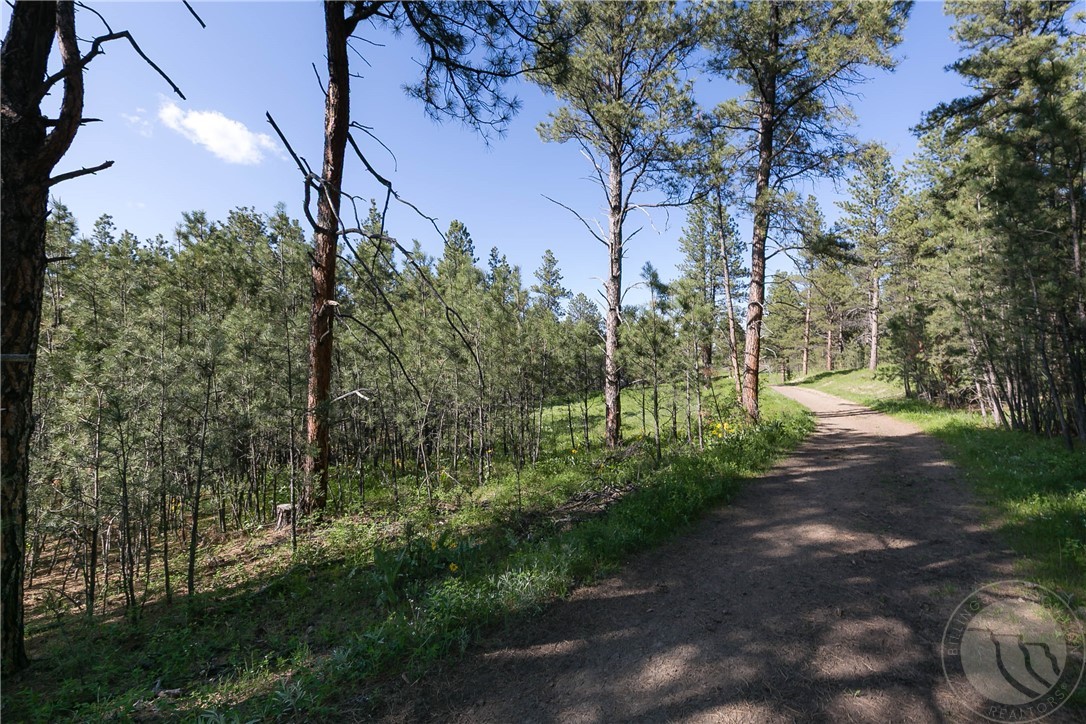 TBD W Parrot Creek Road, Parcel 20