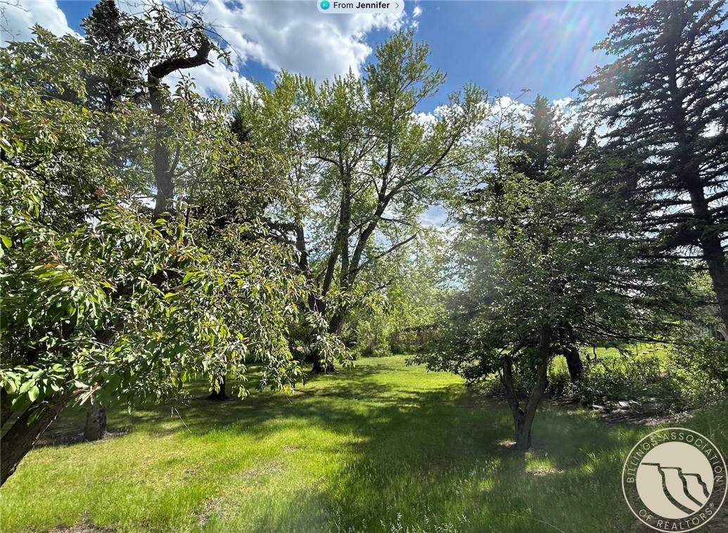 87 Mountain View Boulevard