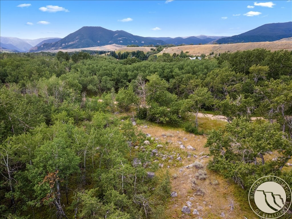 Tract 1A Rock Creek Trail S.