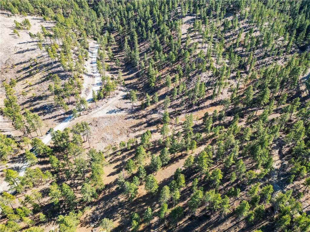 Lot 15 Hearts & Diamonds