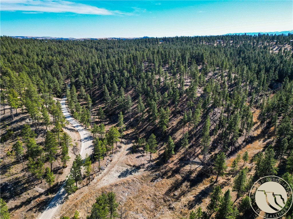 Lot 15 Hearts & Diamonds