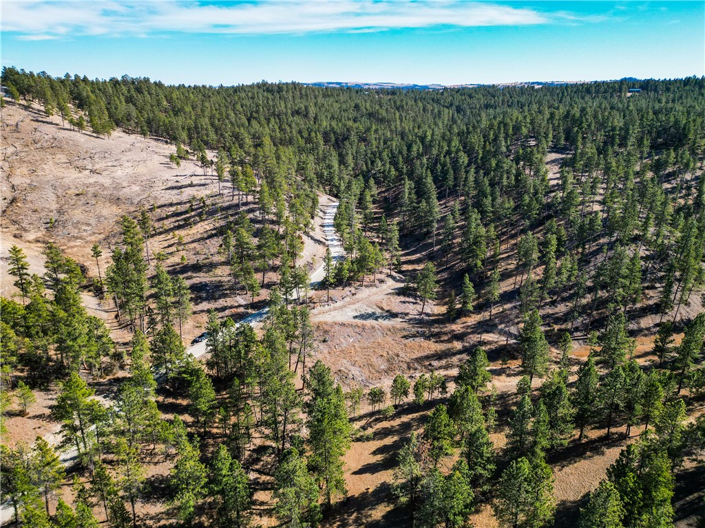 Lot 15 Hearts & Diamonds