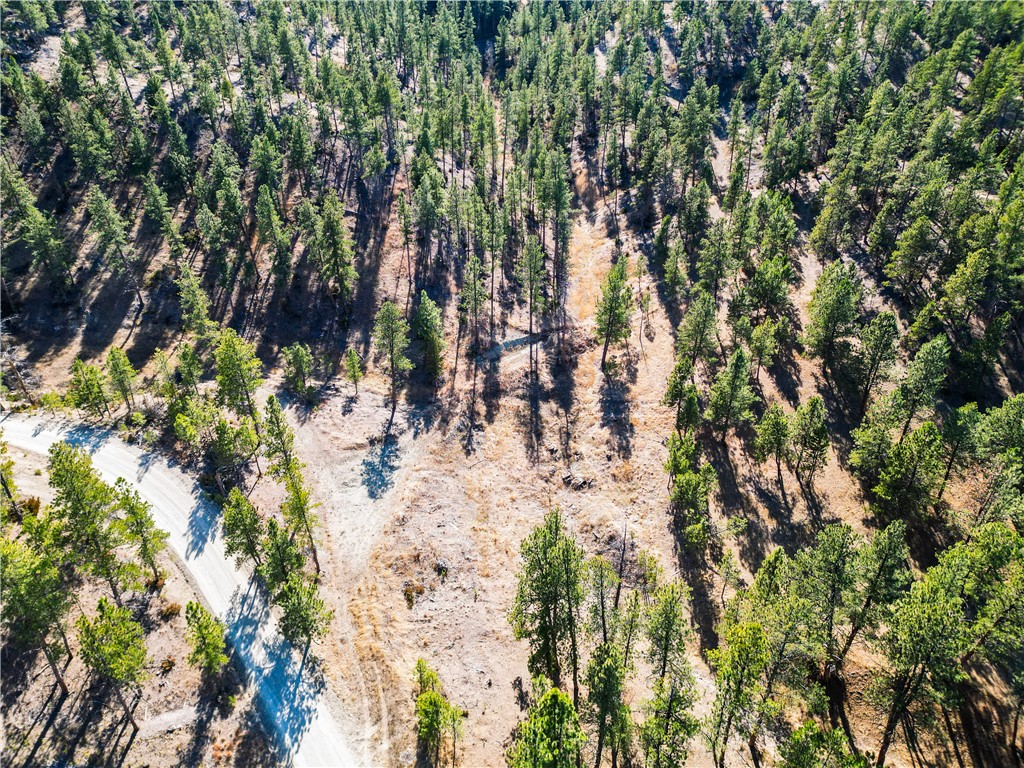 Lot 15 Hearts & Diamonds