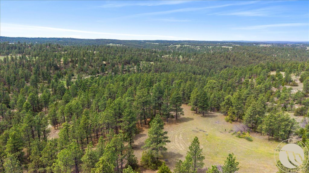 25 Denali Cabin Lane
