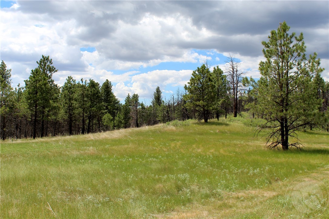 tbd Deer Lane