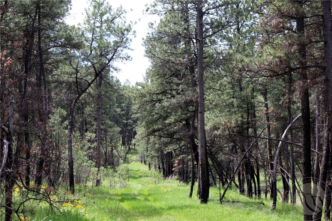 tbd Deer Lane