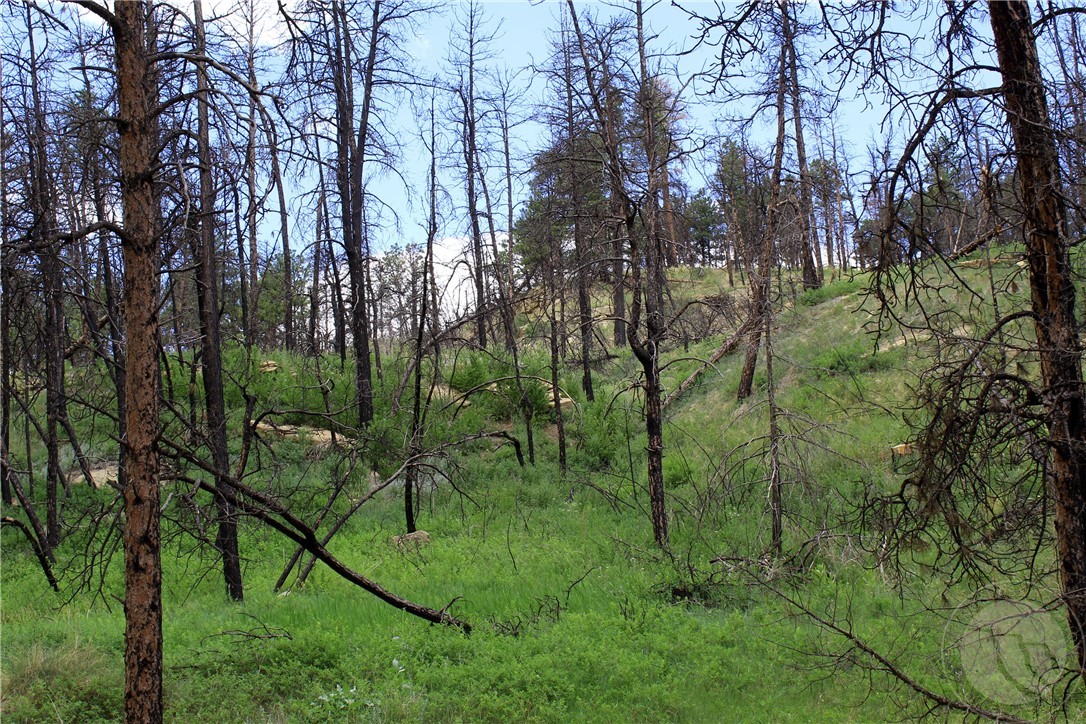 tbd Deer Lane