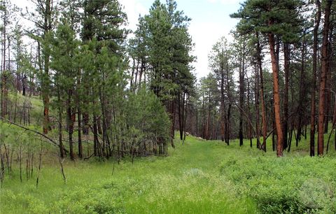 tbd Deer Lane Roundup MT 59072