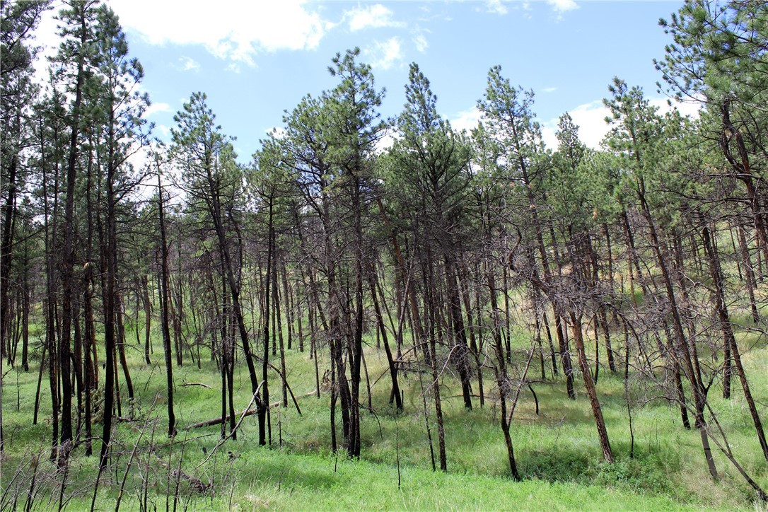 tbd Deer Lane