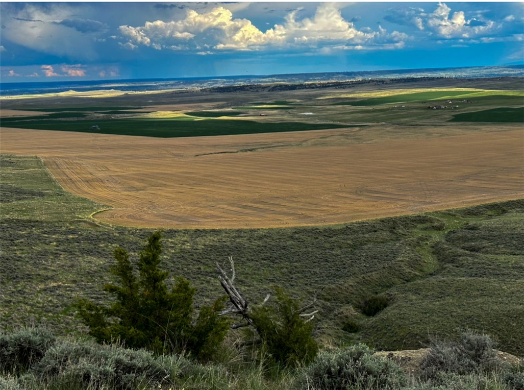 00 Shepherd Acton Rd