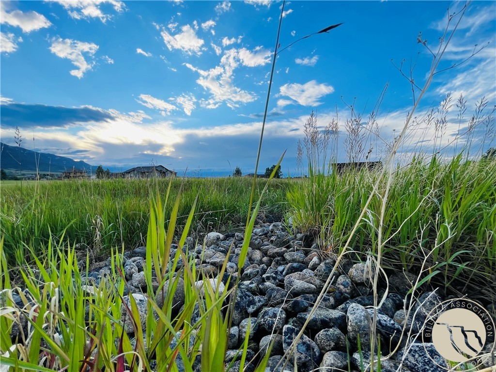 Lot 51 Juniper Circle