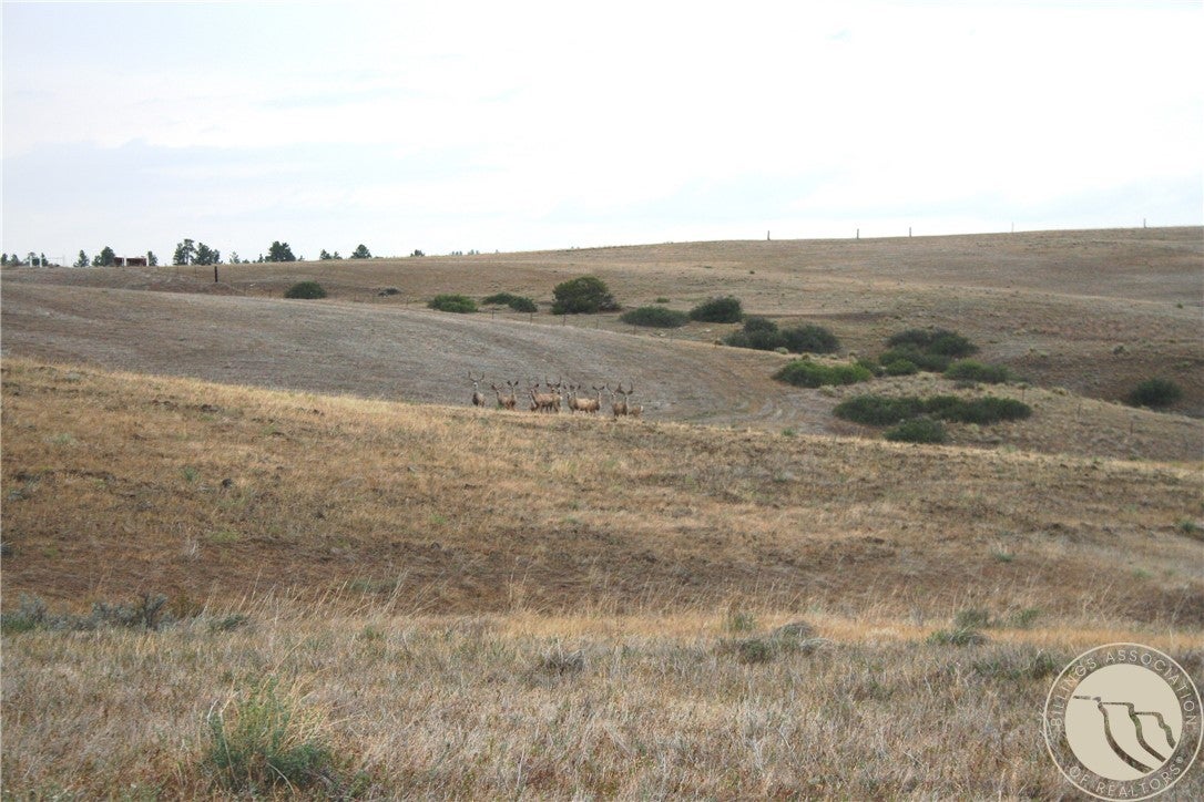 Lot 4 Joliet Rd.