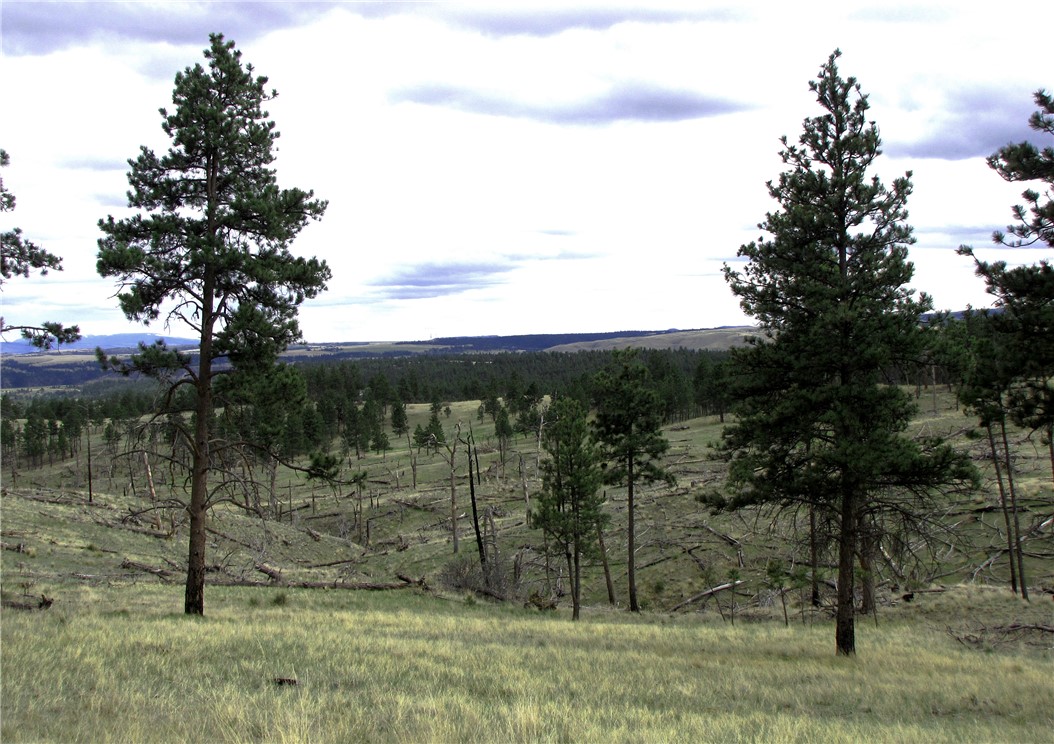 nhn Wild Turkey Ridge Road