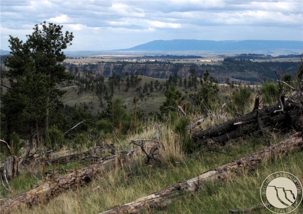 nhn Wild Turkey Ridge Road