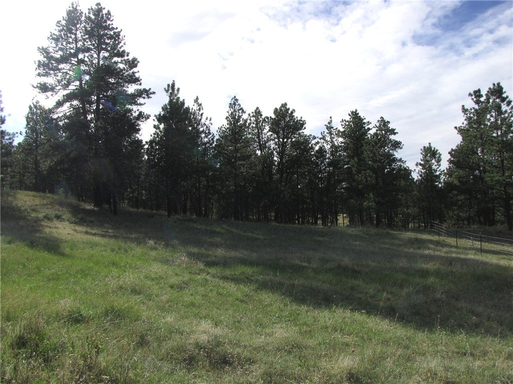 nhn Wild Turkey Ridge Road